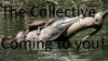 playing collective.jpg