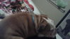 20161126_025522.jpg